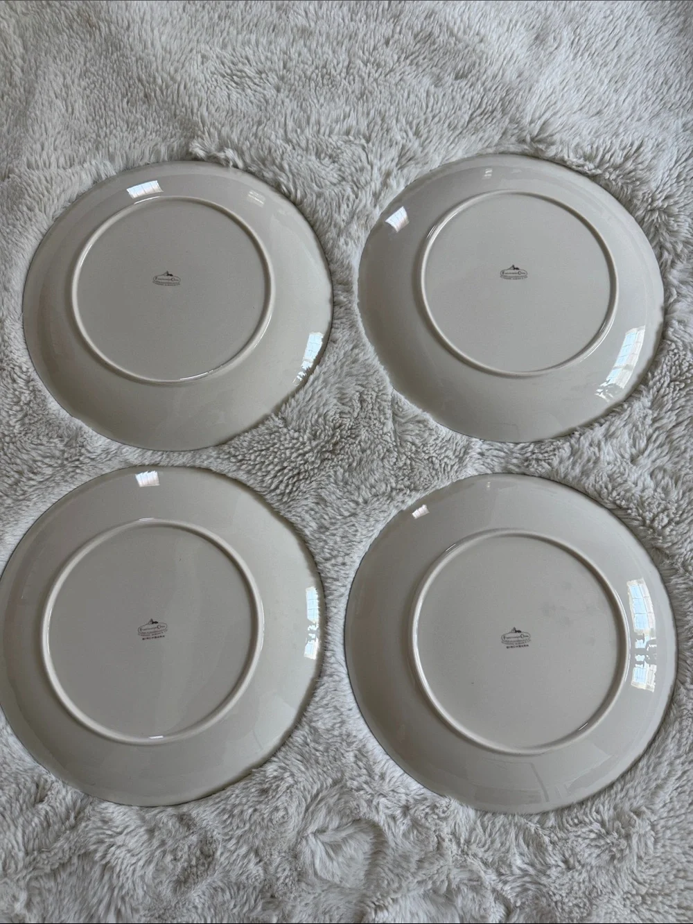 Franciscan China Burchbark Grey With Platinum Trim Dinner 10.5